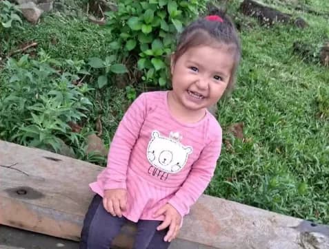 Corpo de criança de 2 anos é encontrado após ser arrastado por enxurrada no Paraná