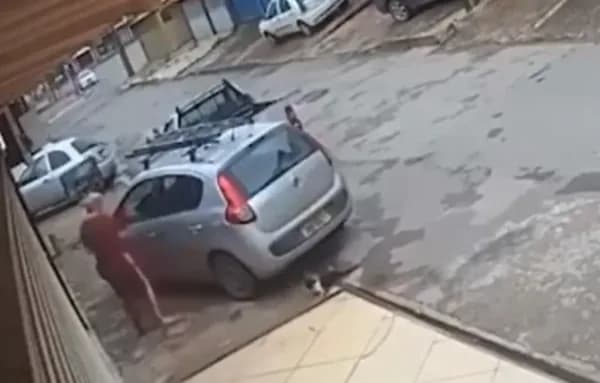 VÍDEO: Mulher é presa após chutar, atropelar e matar gato, no DF