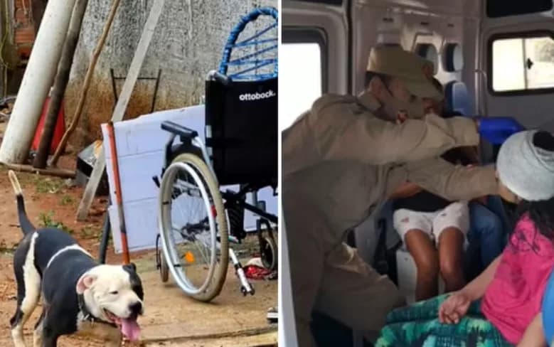 GO: Mulher é atacada por pitbull e tem a orelha decepada