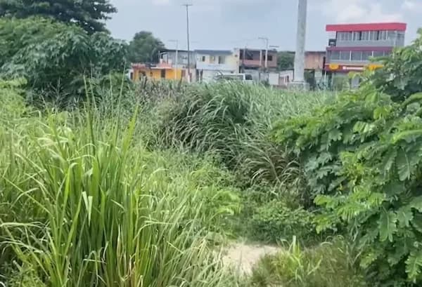 Corpo de homem é encontrado em matagal no São José