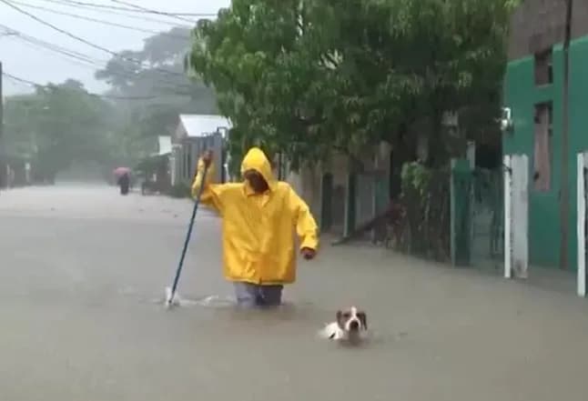 Tempestade tropical Sara deixa mais de 140 mil afetados em Honduras