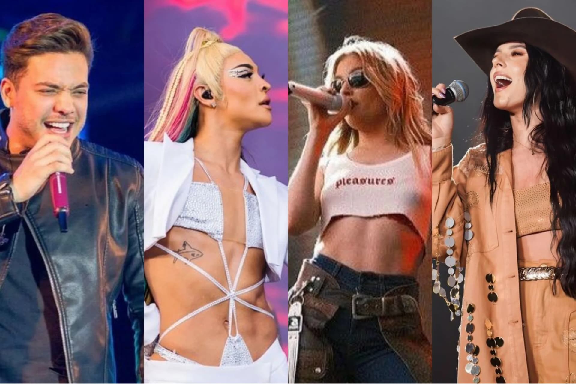 Safadão, Pabllo Vittar e mais: Cantores recebem isenções fiscais milionárias em programa do governo federal