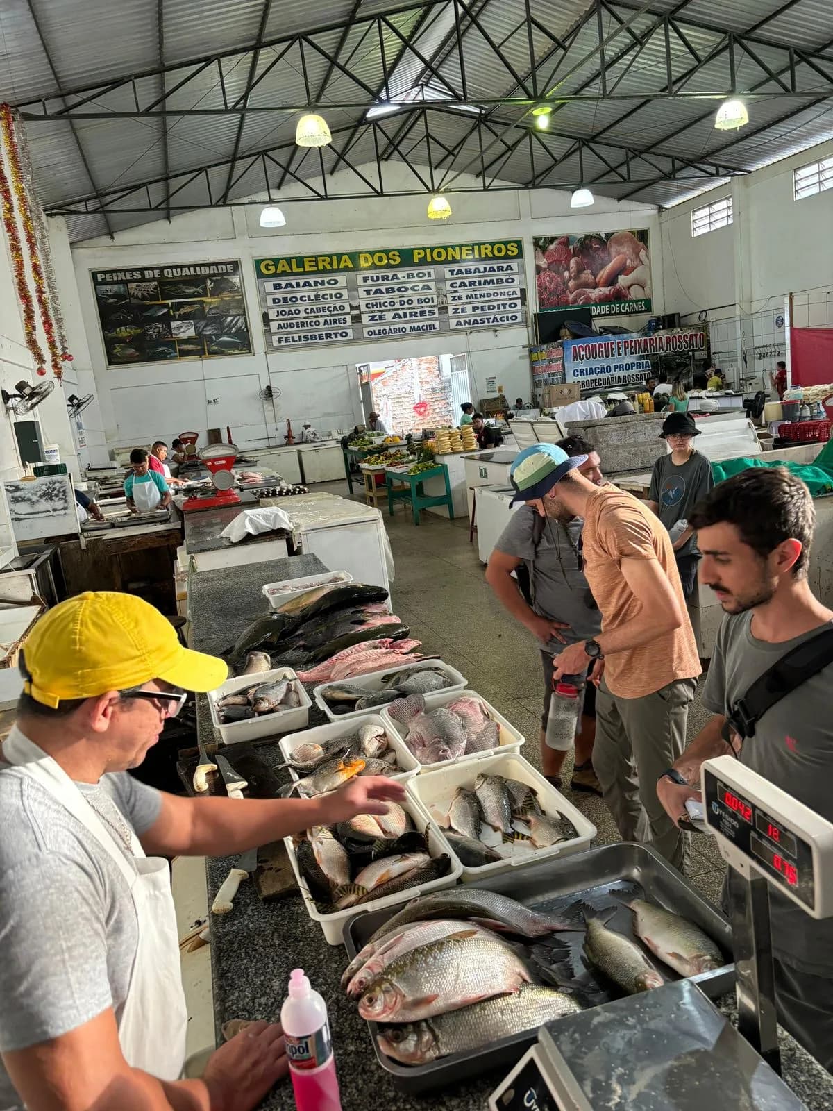 Equipe de pesquisadores da UEA indica contaminação por mercúrio em peixes do rio Madeira