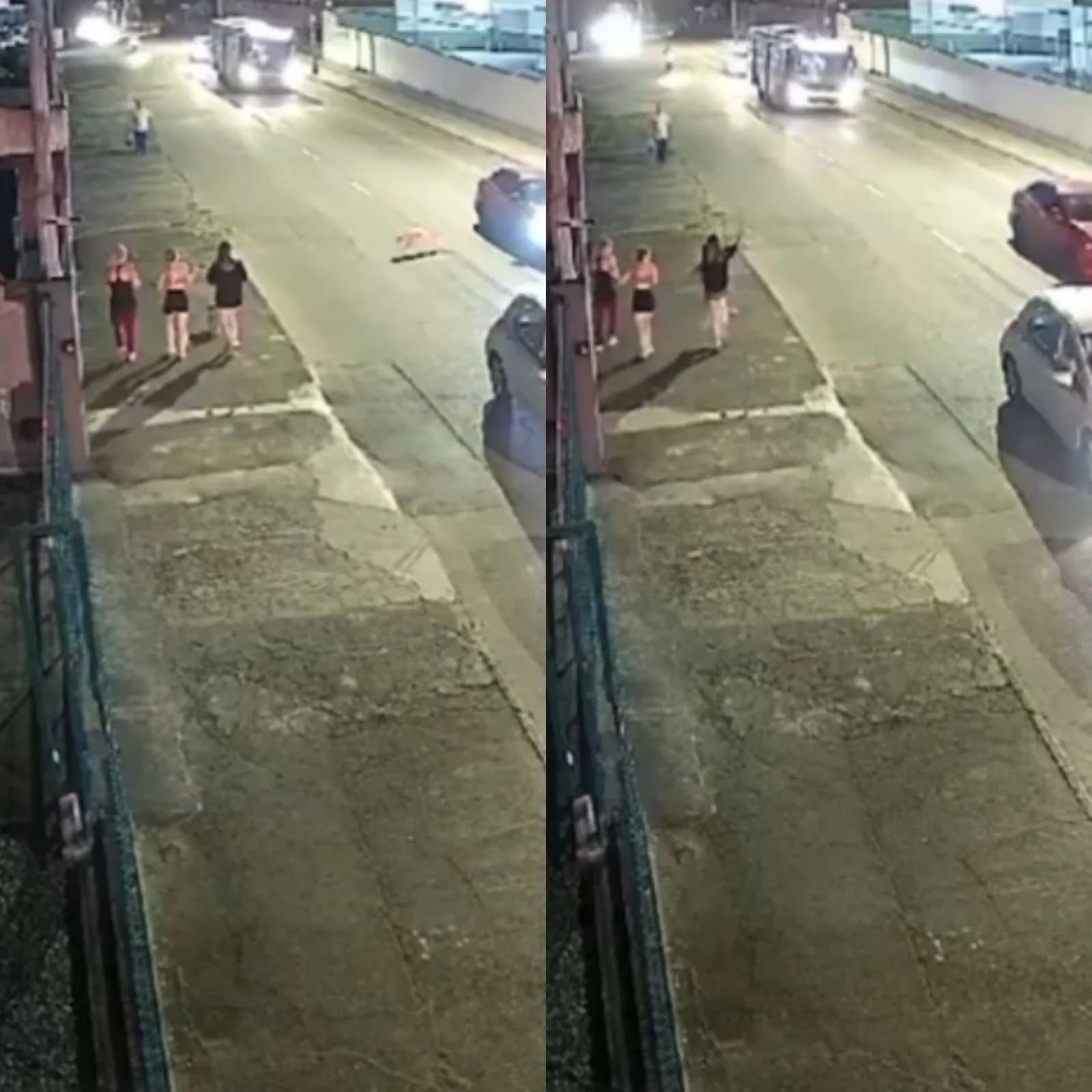 VÍDEO: Em SC, pitbull pula de carro em movimento e causa pânico em pedestres