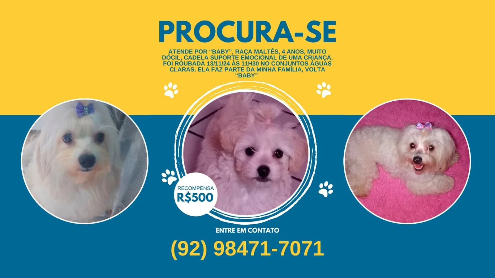 CORRENTE DO BEM: família procura por cadela baby de criança autista em Manaus