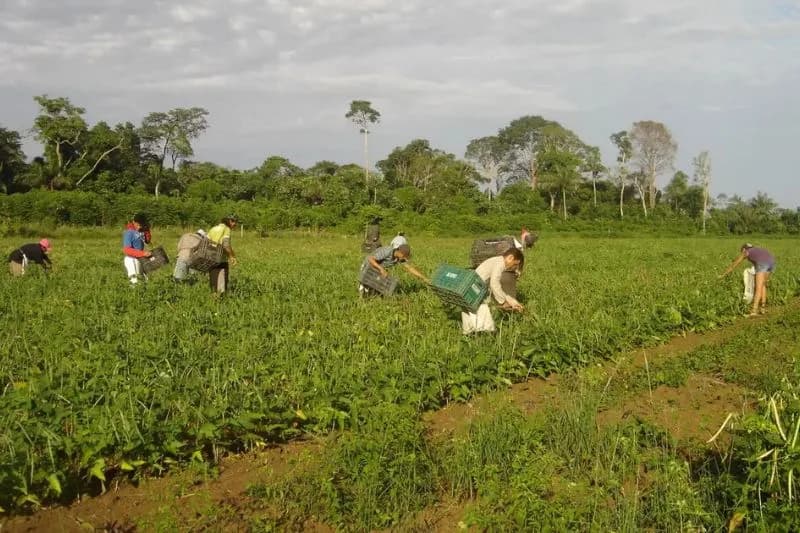 Lula sanciona lei que autoriza R$ 500 milhões no fundo para agricultura familiar