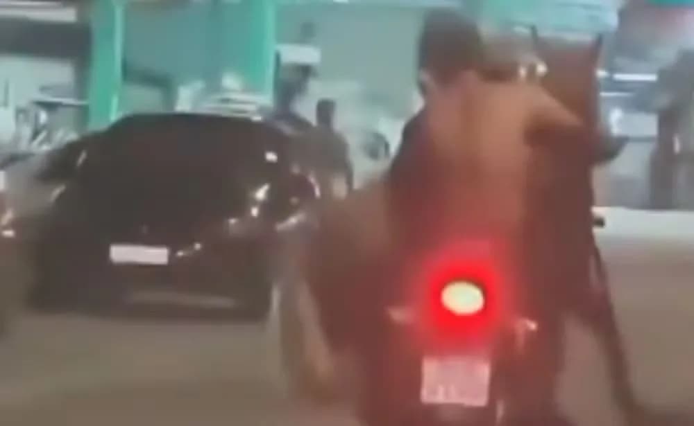 VÍDEO: Dois homens são flagrados transportando um cavalo numa moto, no RJ