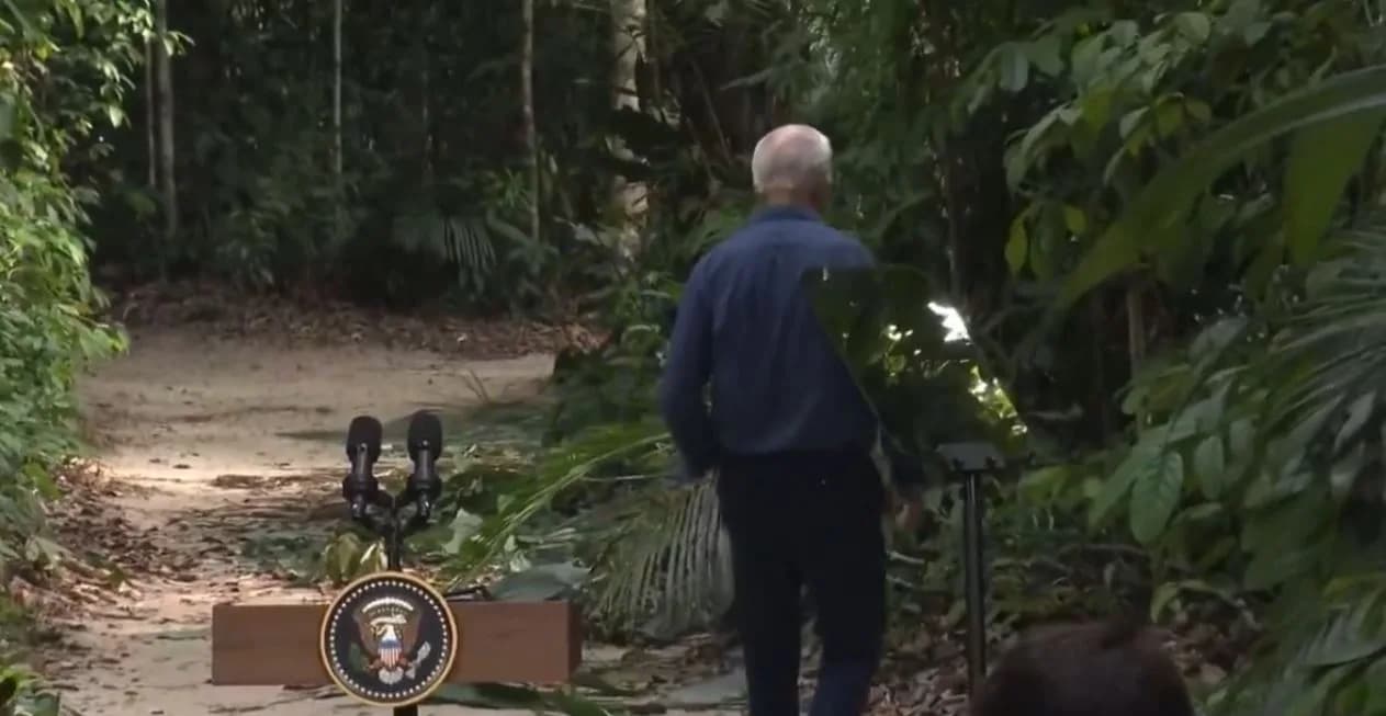 VÍDEO: Em Manaus, Joe Biden termina coletiva com caminhada rumo à mata e cena vira meme