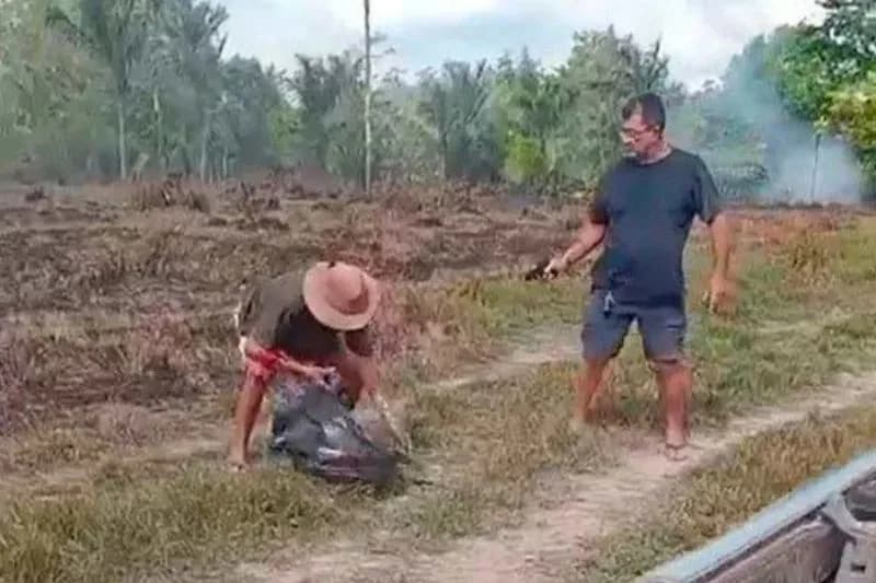 VÍDEO: Marido de prefeita eleita de Amapá é preso após idoso ser morto a tiros por terras