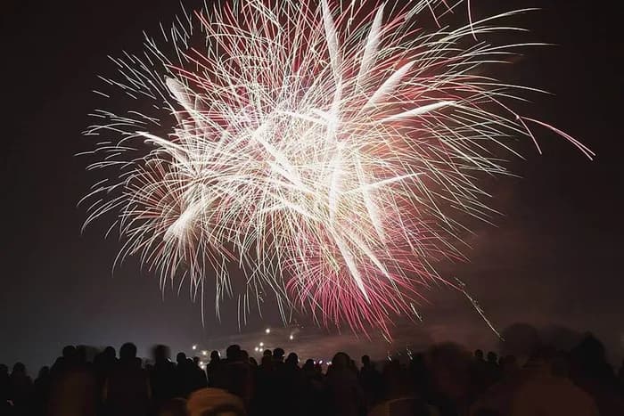 Justiça de SP condena mulher por morte de cavalos após susto causado por fogos de artifício