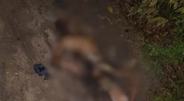 IMAGENS FORTES: Corpo de homem é encontrado carbonizado no ramal do Ipiranga, em Manaus