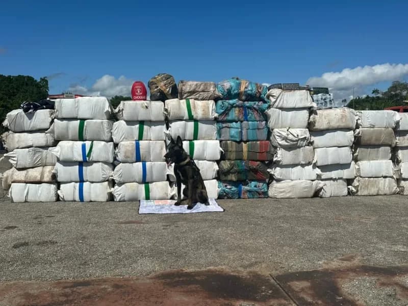 Fortalecimento operacional causou mais de R$ 1 bilhão em danos ao crime no Amazonas