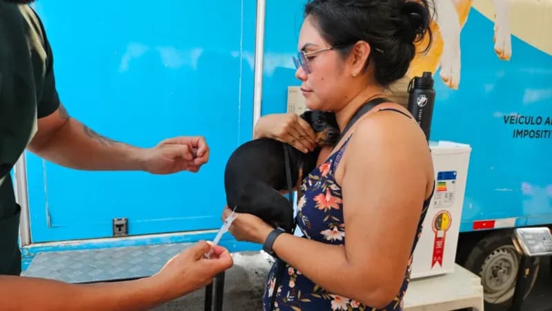 Castramóvel realiza ação itinerante no bairro Armando Mendes; confira