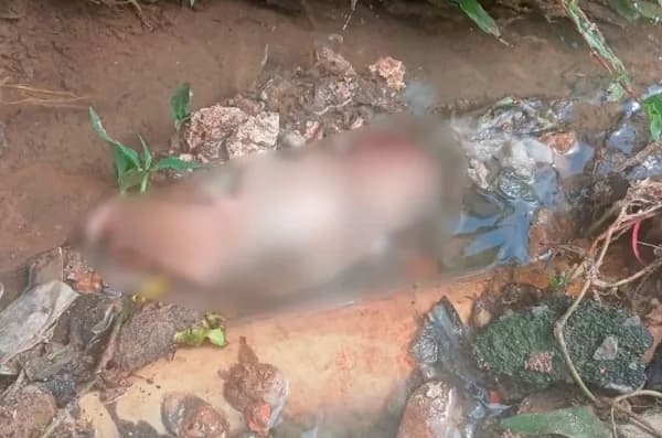 Feto é encontrado em igarapé da comunidade Parque Mauá, em Manaus