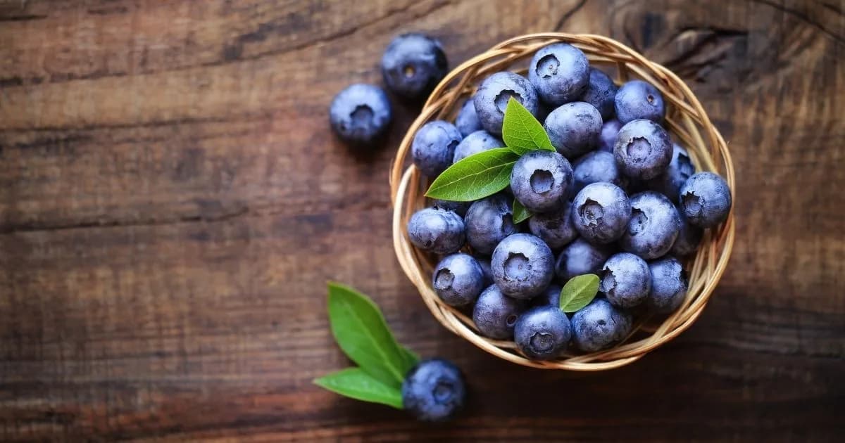 Mirtilo: 10 benefícios da fruta azul para a saúde e como consumir