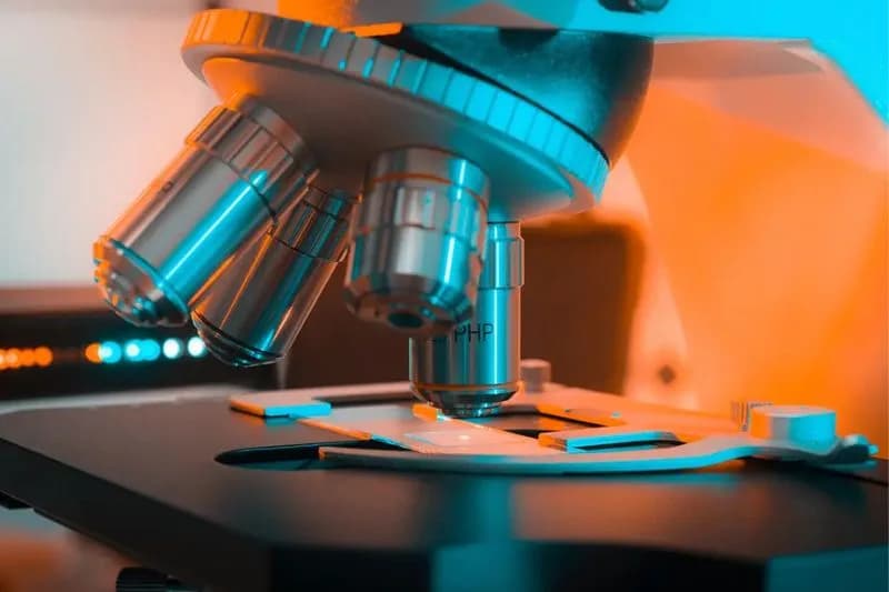 Dez pessoas que moldaram a ciência em 2024, segundo a Nature