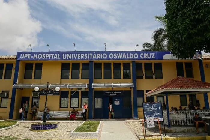 Morre mulher que contraiu raiva humana ao ser mordida por sagui, em PE