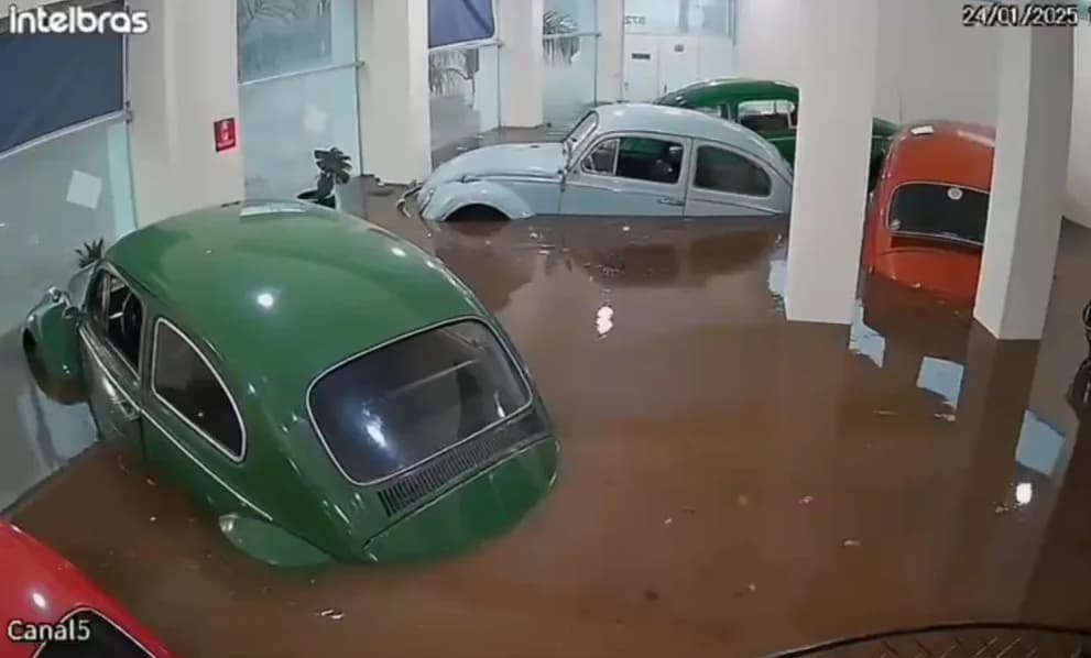 VÍDEOS: Fuscas boiam dentro de loja após enchente em São Paulo