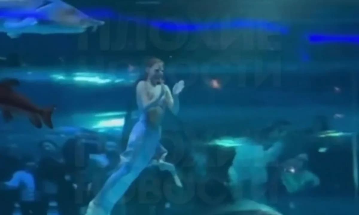 VÍDEO: “Pequena Sereia” leva sacode de peixe dentro de aquário na China