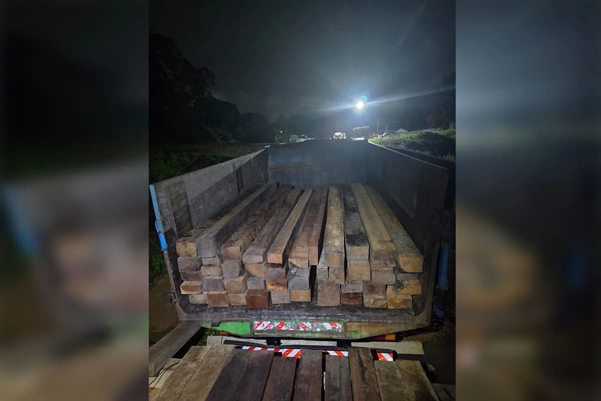 Dois homens presos por transporte ilegal de madeira serrada em Manacapuru