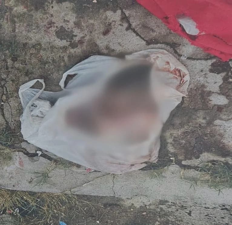 Polícia pede ajuda para identificar mulher que abortou bebê de 9 meses em Manaus