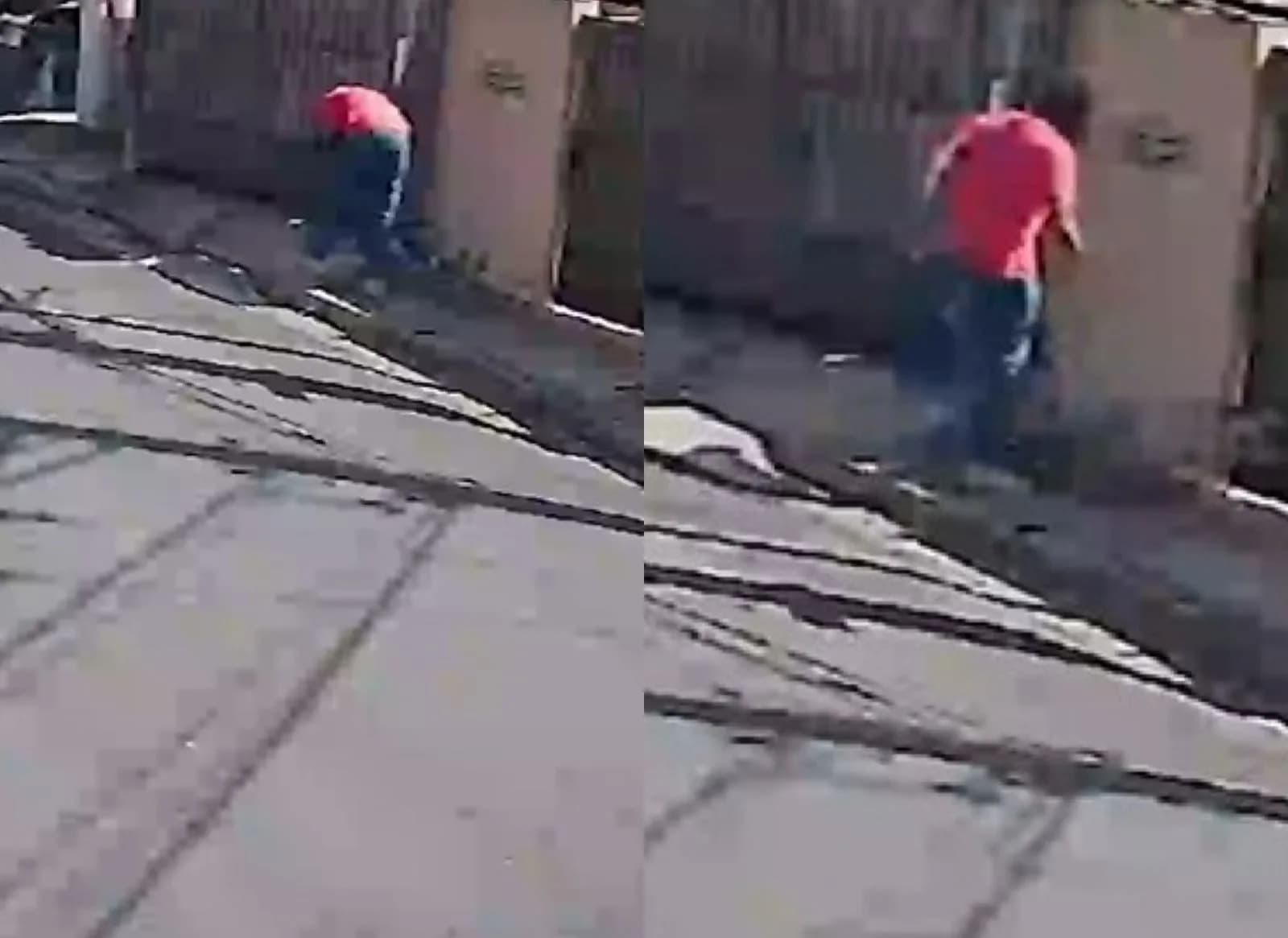 VÍDEO: Rapper é flagrado chutando gatos na zona Oeste de SP