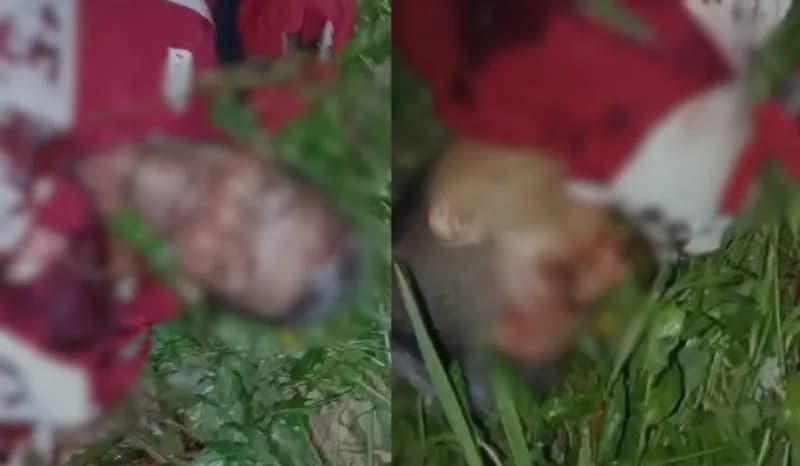 IMAGEM FORTE: ‘Neném’ é perseguido e executado com 8 tiros em Manaus