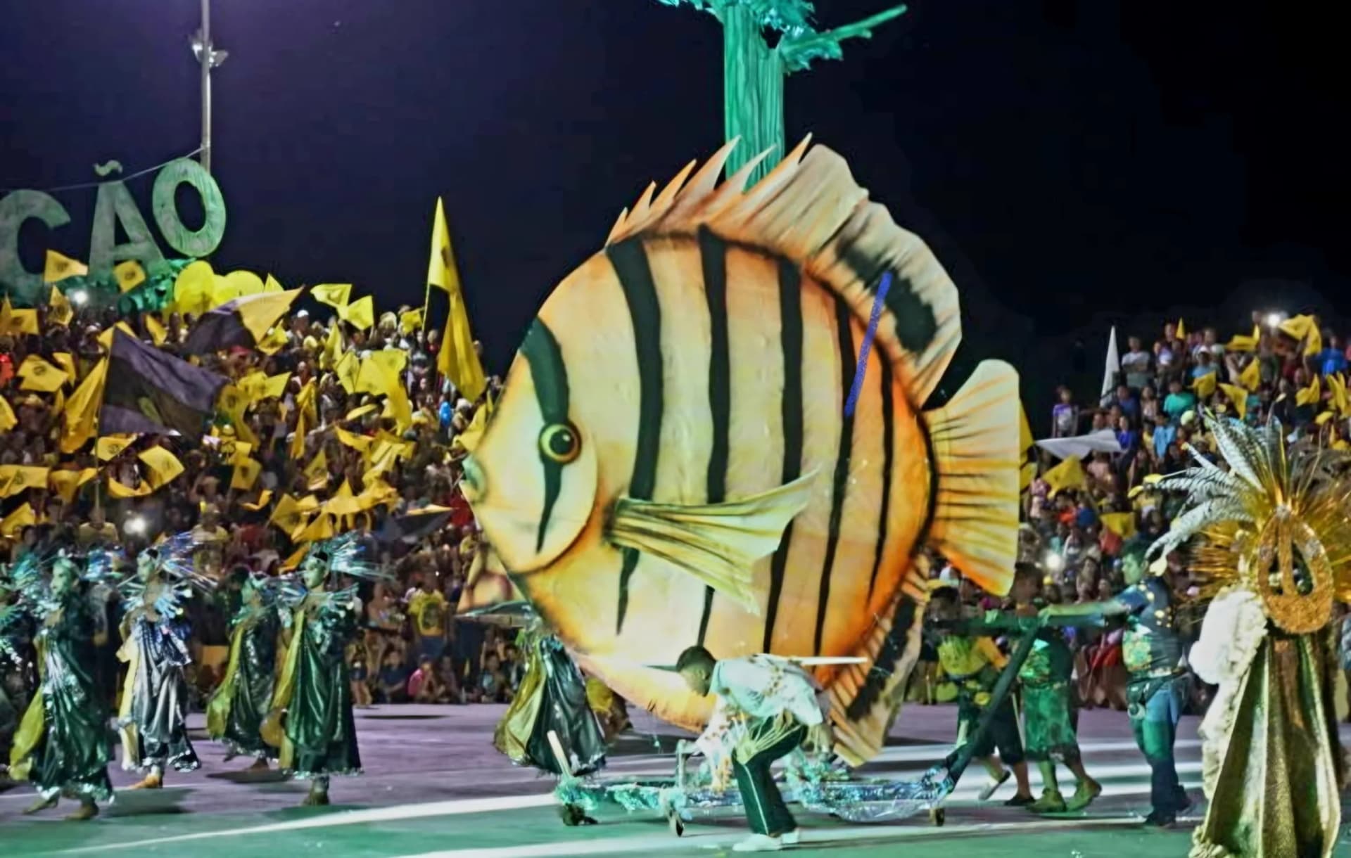 MPAM pede mais fiscalização na venda ilegal de bebidas alcoólicas para menores em Barcelos