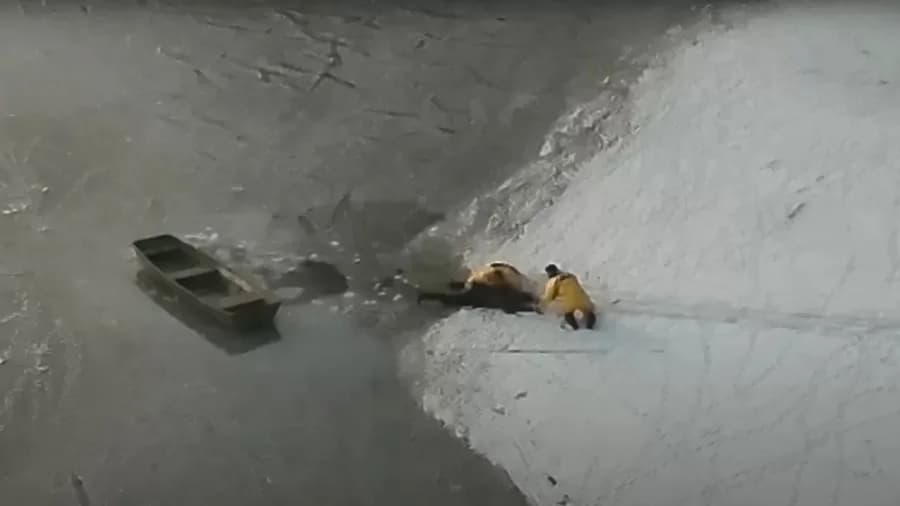 VÍDEO: Tutor e seu cachorro são resgatados após caírem em lago congelado, nos EUA