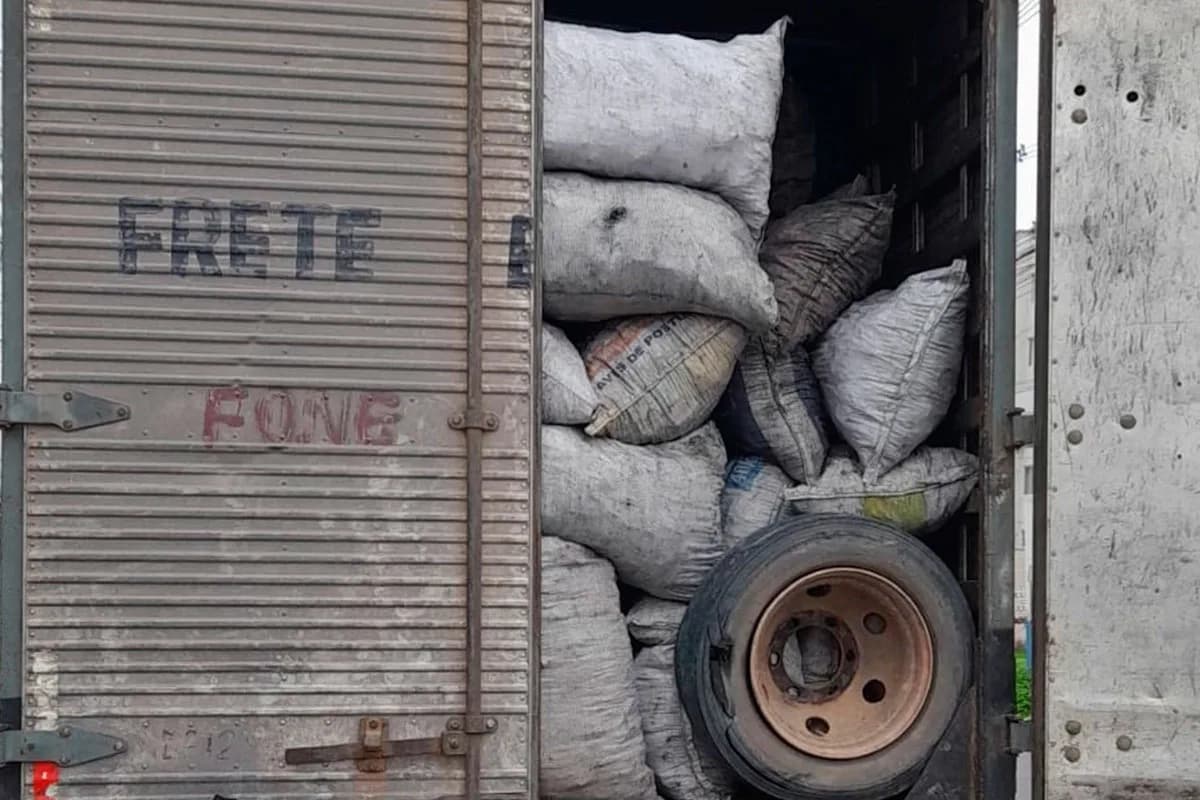 Homem é preso por transporte ilegal de carvão na zona Norte de Manaus