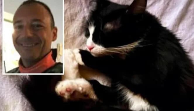 Médico é investigado por uso de equipamento de hospital público para salvar gato