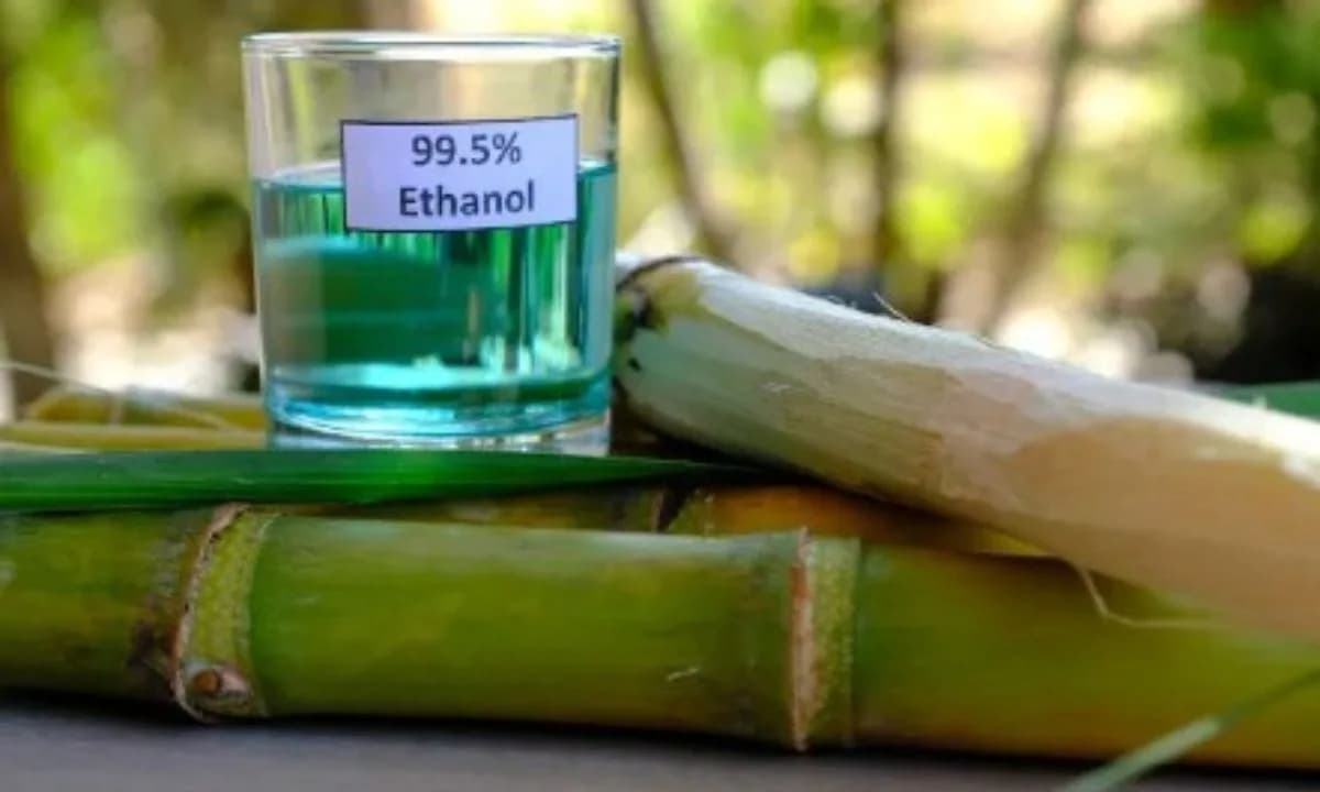 Etanol brasileiro é incluso em novo plano de comércio internacional de Trump