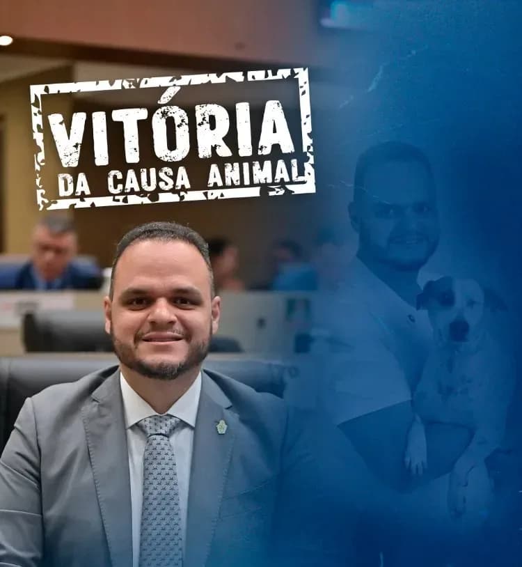 CMM define presidentes de novas comissões permanentes