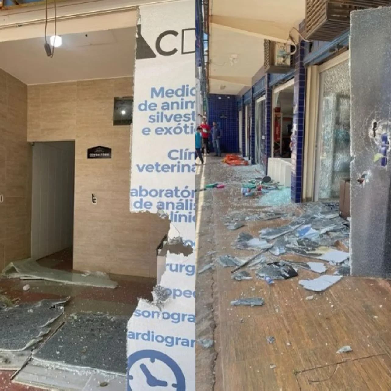 Homem surta e depreda clínica veterinária após morte de cadela no DF