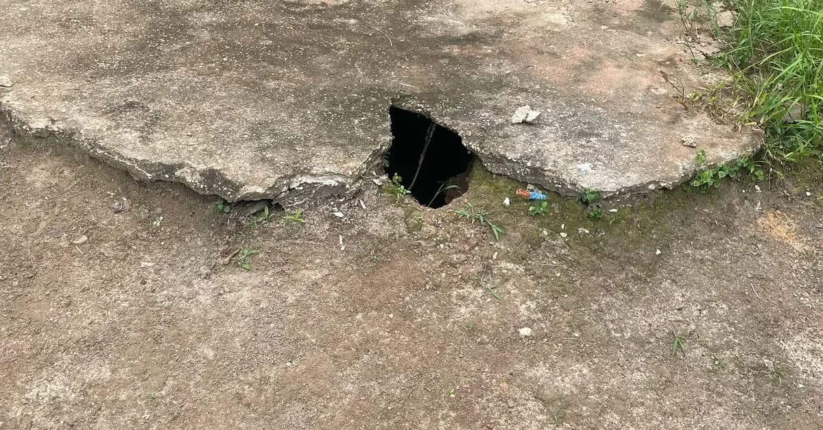 Homem é preso suspeito de matar 6 gatos para ritual de magia negra no Amazonas