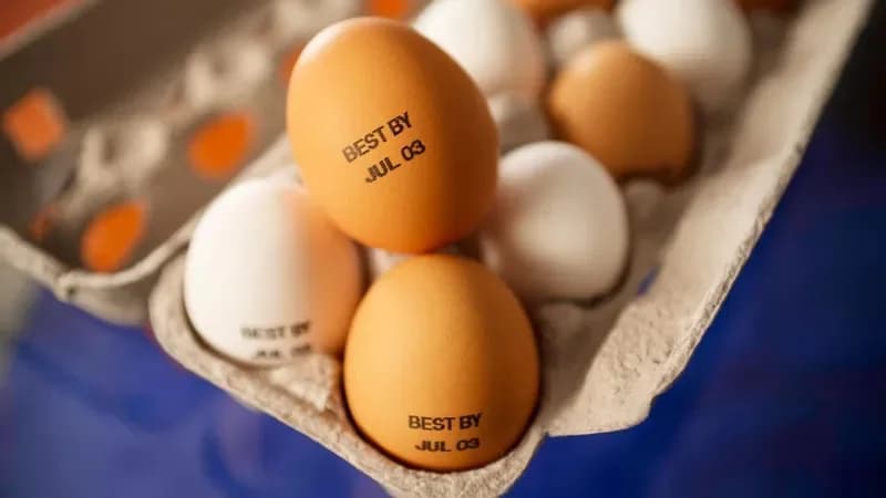 Ovos passarão a ter data de validade carimbada na casca, a partir de março