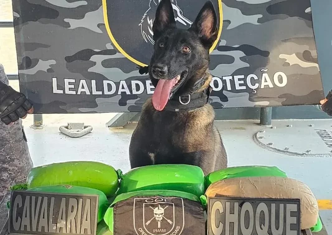 Suspeito é preso ao tentar transportar 9 kg de drogas em mala no Amazonas