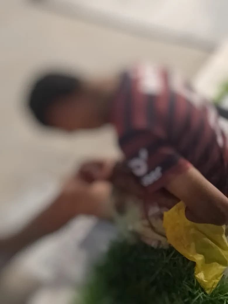 Tribunal do Crime: suspeito de assalto é baleado nas mãos como ‘castigo’ em Manaus