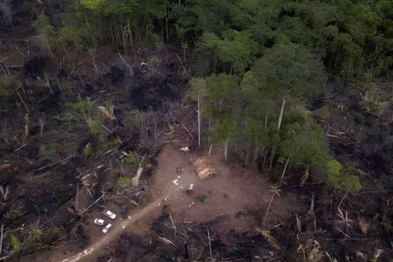 Chacina: seis pessoas são mortas em assentamento na zona rural de Porto Velho