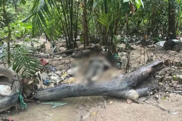 Corpo com mãos e pés amarrados é encontrado em área de mata na zona Norte de Manaus