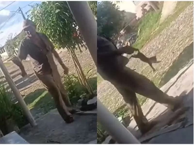 IMAGENS FORTES: Homem é assassinado um dia após arremessar e matar gato