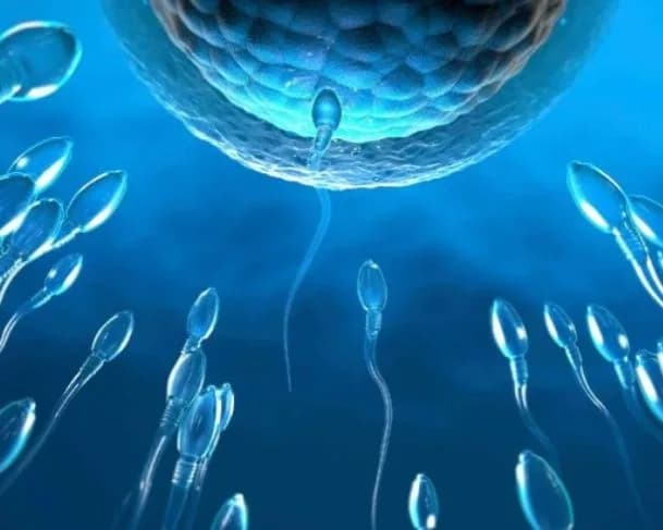 Conheça o ADAM, gel contraceptivo masculino inovador que apresenta 99% de eficácia