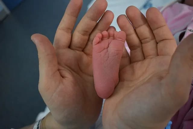 Brasil registra queda no número de nascimentos e de divórcios, segundo IBGE