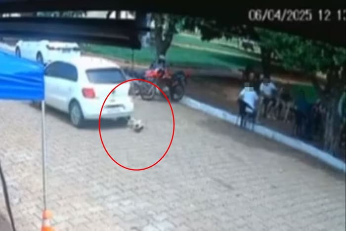 Vereador atropela cadela e deixa local sem prestar socorro em Goiás; veja vídeo