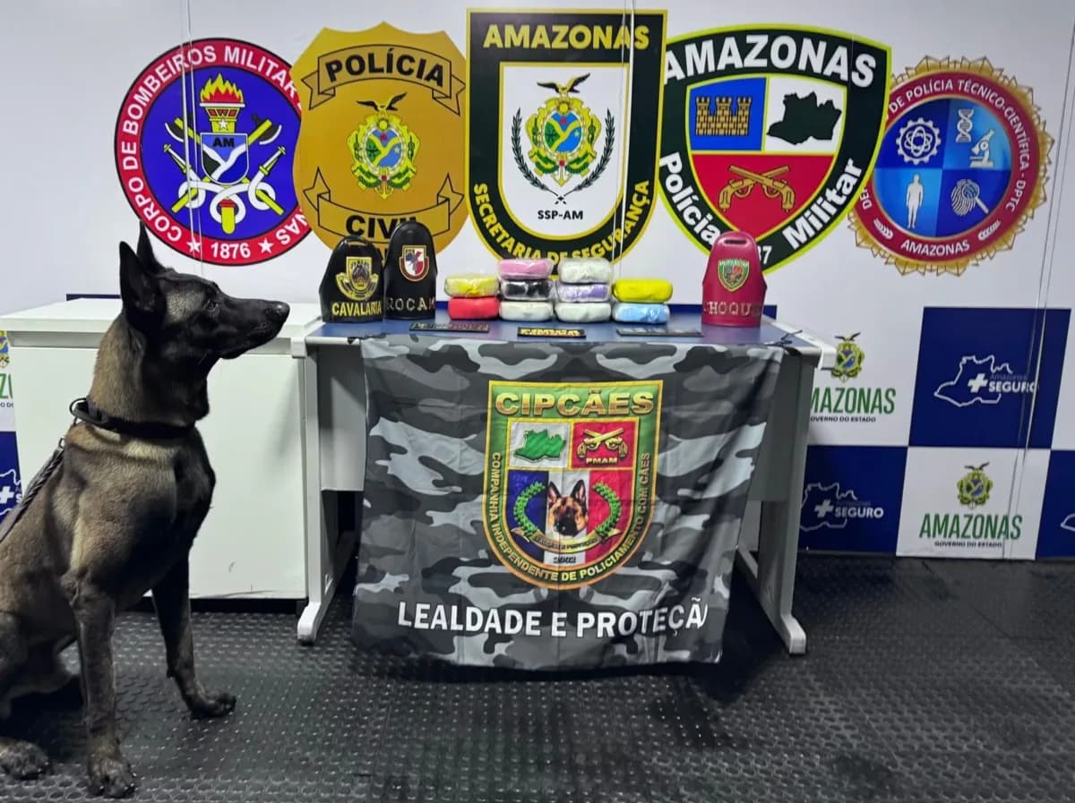 Cão policial encontra 14 kg de drogas escondidos em malas de lancha, em Coari