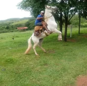 Vaqueiro é encontrado morto com laço preso ao pescoço em fazenda de Goiás