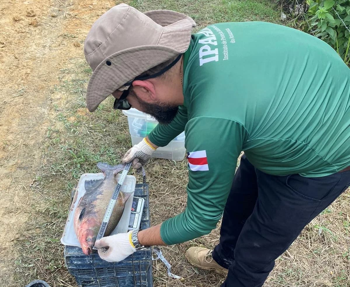 Fim do defeso: pesca do tambaqui é liberada no Amazonas