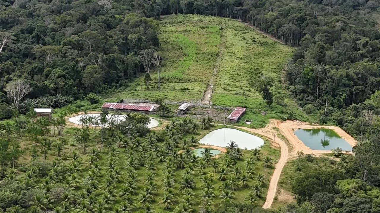 Imóvel rural é multado em R$ 1,6 milhão por crimes ambientais no Rio Preto da Eva