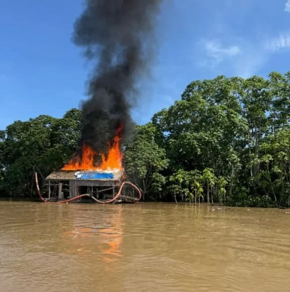 PF e Ibama combatem crimes ambientais em Rondônia