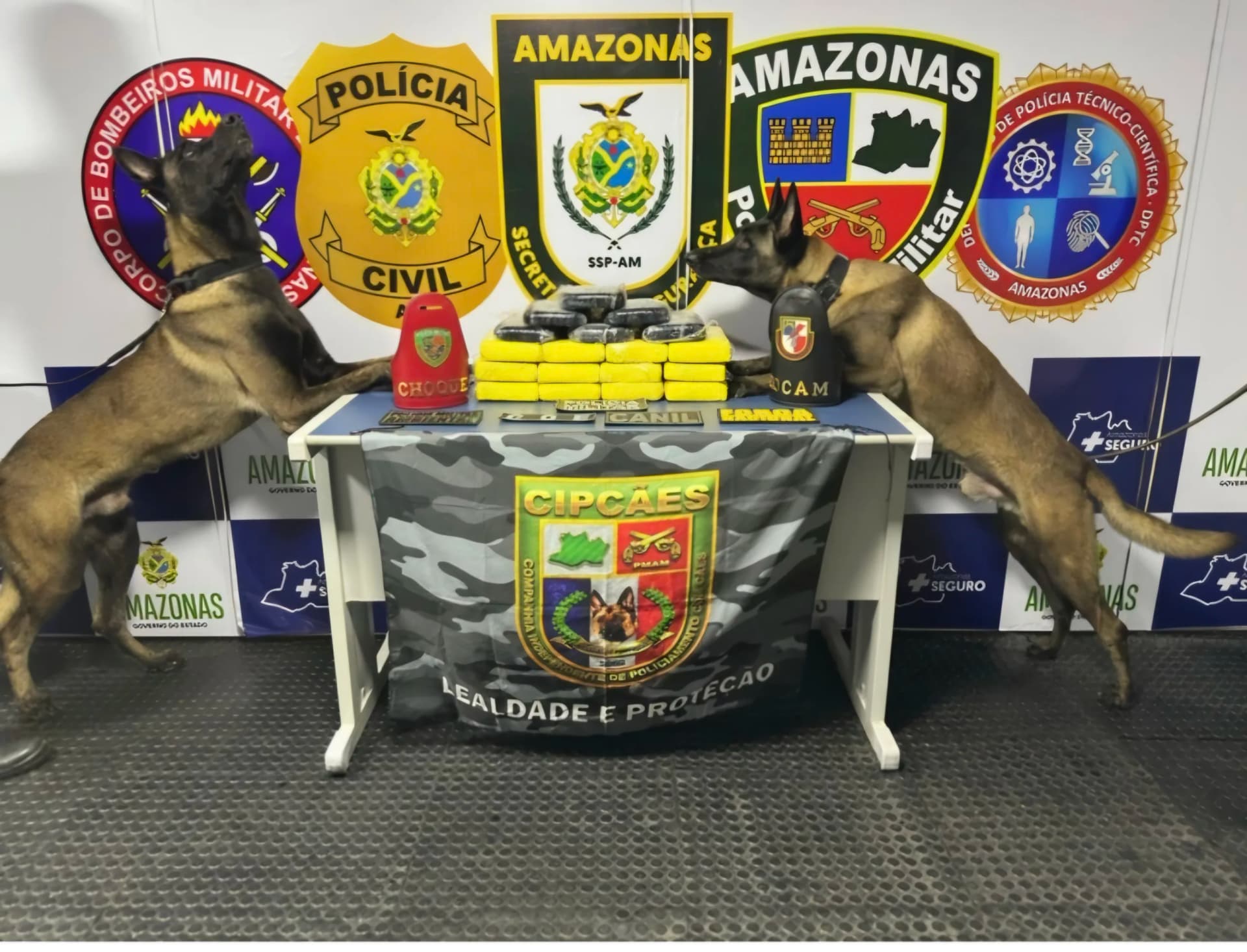 Polícia apreende mais de 20 kg de drogas escondidas em freezer de embarcação no AM